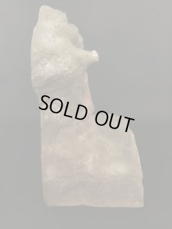 画像5: 非売品【80年代・店頭用ディスプレイ台座】聖闘士聖衣大系専用・聖闘士星矢クロス