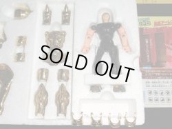 画像5: カプリコーンクロス