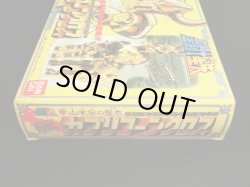 画像8: カプリコーンクロス