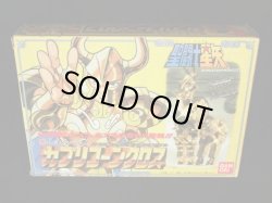 画像6: カプリコーンクロス