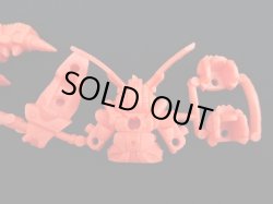 画像5: ブルーガンボイ・未切り（橙）