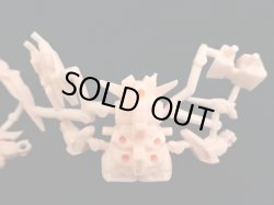 画像5: グリーンガンボイ・未切り（肌）