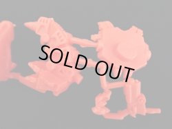 画像3: ブルーガンボイ・未切り（橙）