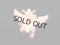 画像5: 武者精太・麒麟児スペシャル（肌）