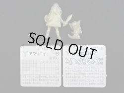 画像2: アマゾニィ（カード付）