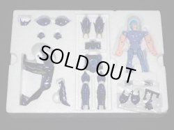 画像3: アリオトの神闘衣・イプシロンローブ