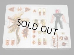 画像3: スキュラの鱗衣・スキュラスケイル