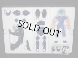 画像4: アリオトの神闘衣・イプシロンローブ