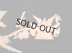 画像6: 大福将軍・未切り（肌）