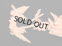 画像5: 大福将軍・未切り（肌）