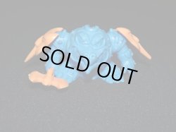 画像1: ベルベガ