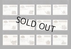 画像7: ガン消し付属シール・ガンドランダー44種セット（キラ色違い含む）