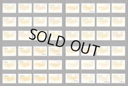 画像7: ガン消し付属カード・戦国伝系151種セット（裏色違い含む）