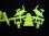 画像3: 三代目大将軍・未切り（黄）「ハイグレード」