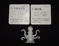 画像3: ツボカヅラ（カード付）