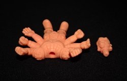 画像8: アシュラマンF（薄橙）