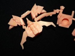 画像5: 武器鳥・未切り（薄橙）