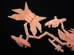 画像3: 千生大将軍・未切り（薄橙）