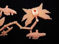 画像7: 千生大将軍・未切り（薄橙）