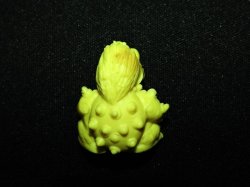 画像4: クッパ（黄色）