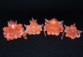 クルガンサザバルガ等・クリアカラー4種セット