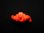 画像5: レオパルドン（橙） (5)