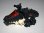画像4: バリゲーター・ゾイコロ（プルバック チョロQ） (4)