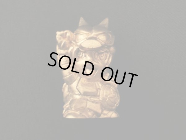 画像5: 未発売ペガサス星矢＆ドラゴン紫龍（セイントパラダイス）