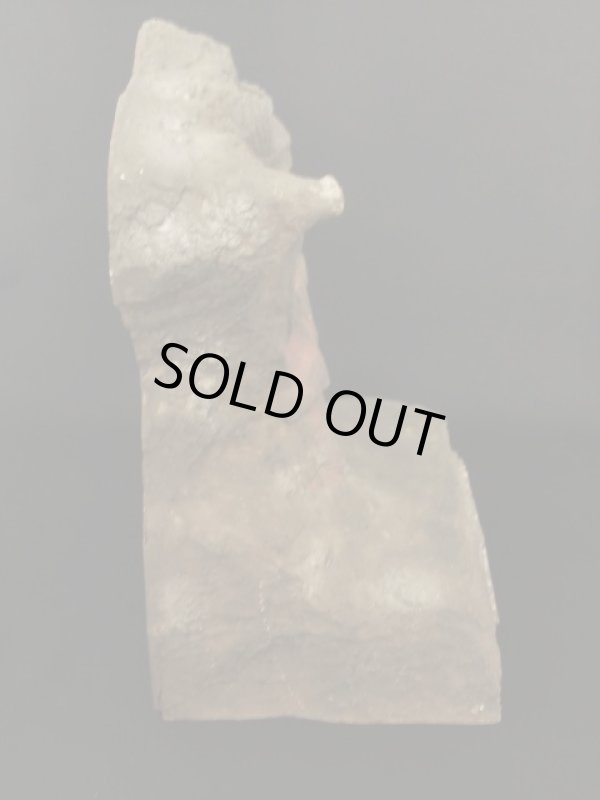 画像5: 非売品【80年代・店頭用ディスプレイ台座】聖闘士聖衣大系専用・聖闘士星矢クロス