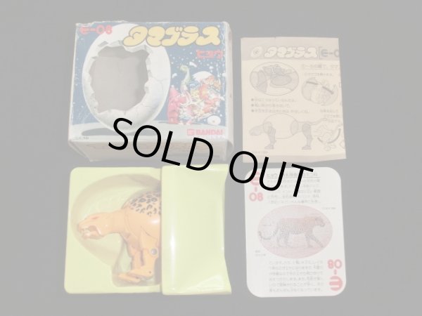 画像5: タマゴラス/ヒョウ