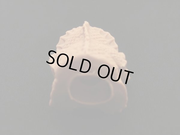 画像6: カイギョジン・ゾンビーズ（ガチャ版）