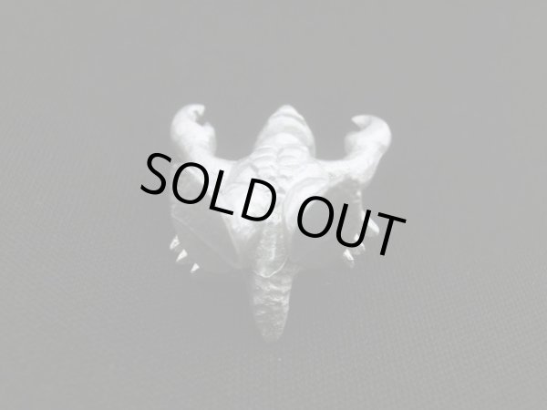 画像4: カネドラス