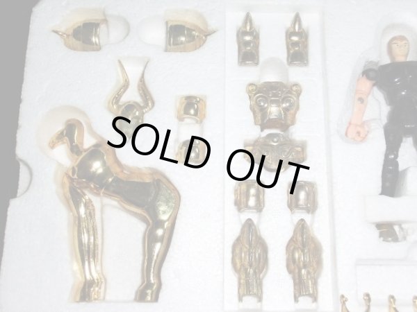 画像4: カプリコーンクロス