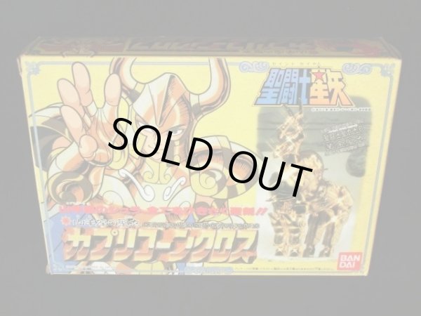 画像6: カプリコーンクロス