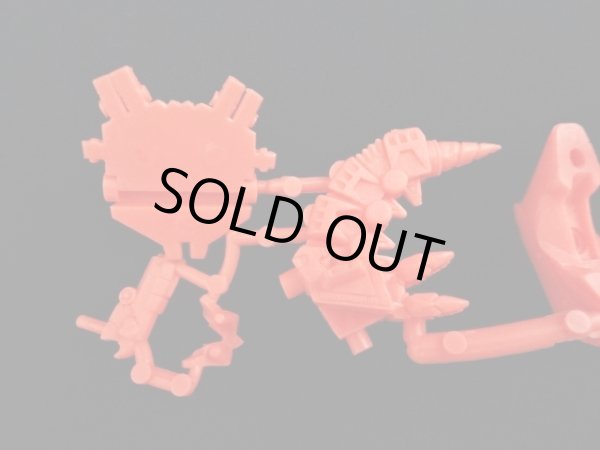 画像6: ブルーガンボイ・未切り（橙）