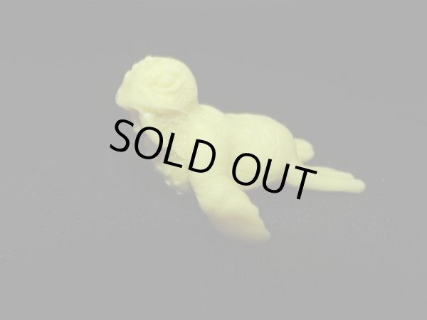 画像2: トドラ（黄）