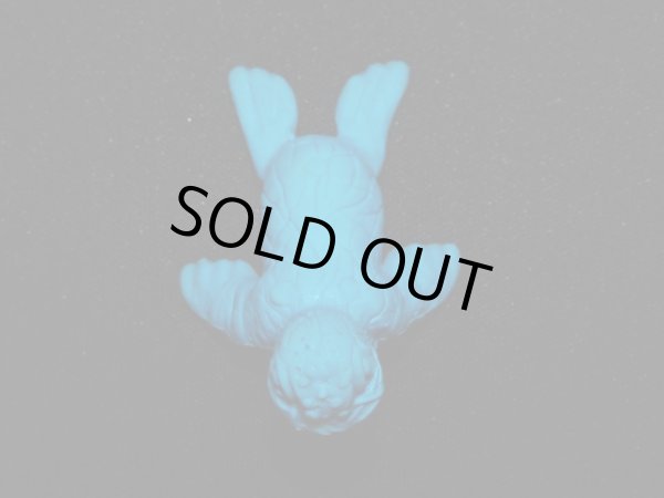 画像3: トドラ（青）