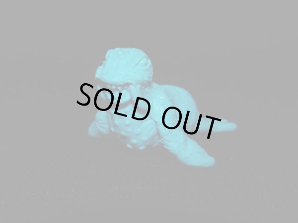 画像2: トドラ（青）