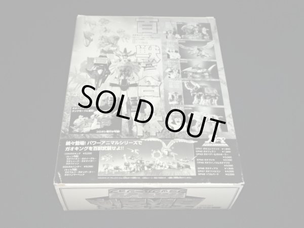 画像10: DX超合金 ガオキング ブラックバージョン（開封美品）